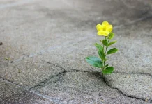 150 The most beautiful motivational quotes for hope, power and life