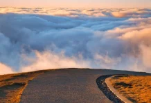 185+ Wise Quotes About the Road to Life