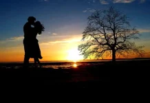 210+ the most beautiful good night messages