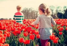 45+ New Happy Birthday Messages for Sister to Send on WhatsApp