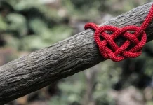 75 Sweet and Beautiful Husband Love Messages