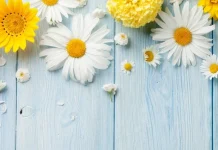 Beautiful and funny March 1st messages for the first day of spring