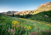 Famous quotes about Nature and its beauties