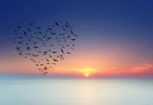 Famous short quotes – Thoughts and proverbs from famous authors