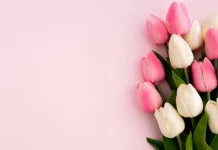 Happy Birthday to Mom, 99 Emotional and Beautiful Messages