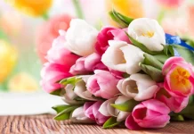 March 8th Women’s Day Messages, Wishes and Congratulations to Mom and Wife