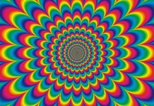Psychedelic drugs, a way to increase cognitive ability?
