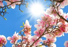 Spring messages for lovers, friends and teachers