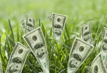 The latest quotes about money written by famous authors