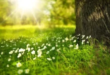 The Most Beautiful 200+ Spring Messages