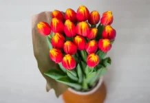 The most beautiful birthday messages for mom for her birthday