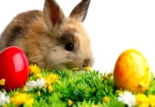 The most beautiful Easter messages: wishes to make to your loved ones