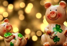 The most beautiful funny SMS and funny messages