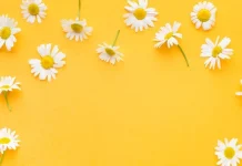 The most beautiful March 1st Congratulations on Martisor’s Day