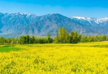 The most beautiful Spring Messages (March 1) for lovers and friends