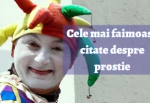 The most famous 100+ quotes about stupidity