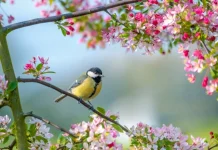 Top 155+ Beautiful messages from March 1st