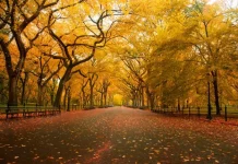 Wise and True Status About Life