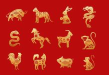Chinese New Year: Find out your Spirit Animal of the Year
