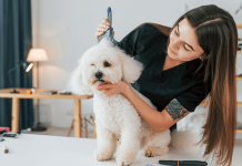 Top Home Business Opportunities