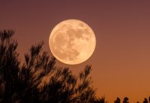 What Does January’s New Moon Mean?