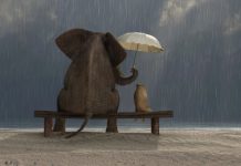 Powerful Kindness Quotes That Will Stay With You