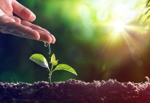 Motivational World Environment Day Messages